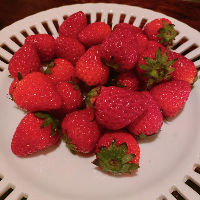 福元陽子