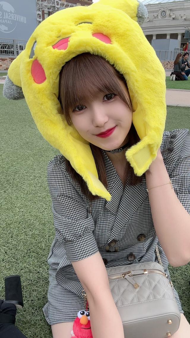 葵