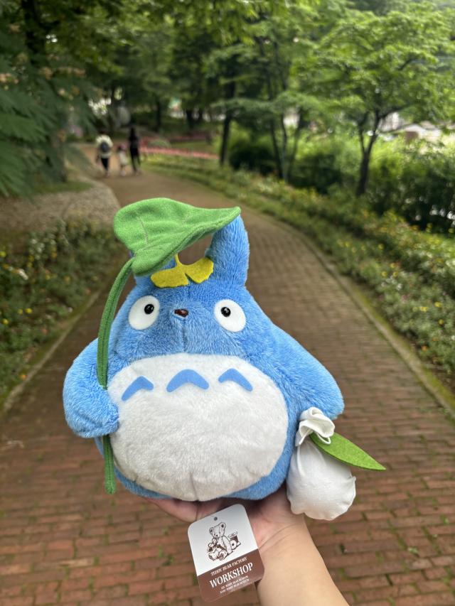 Mayu