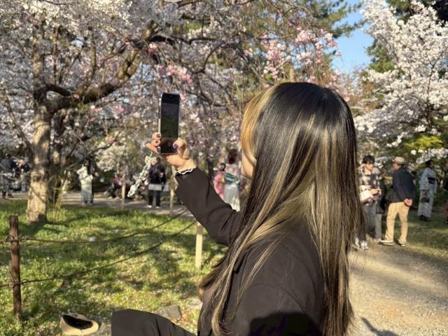 スズキ