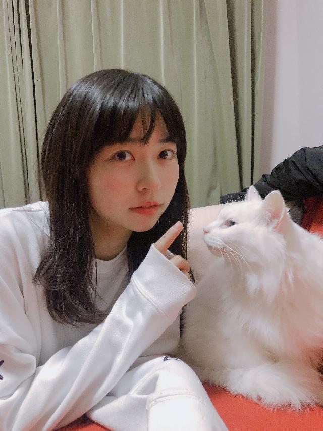 ぱる 1
