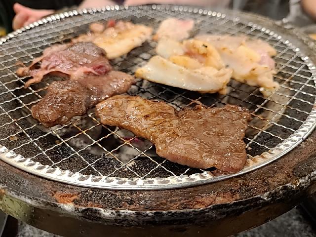 ユーカリ 1