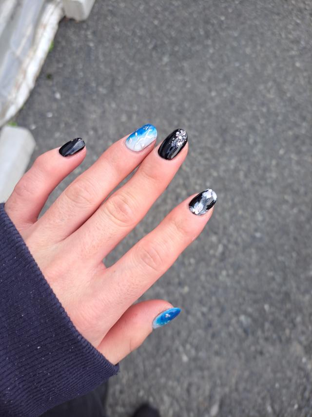 タカ 1