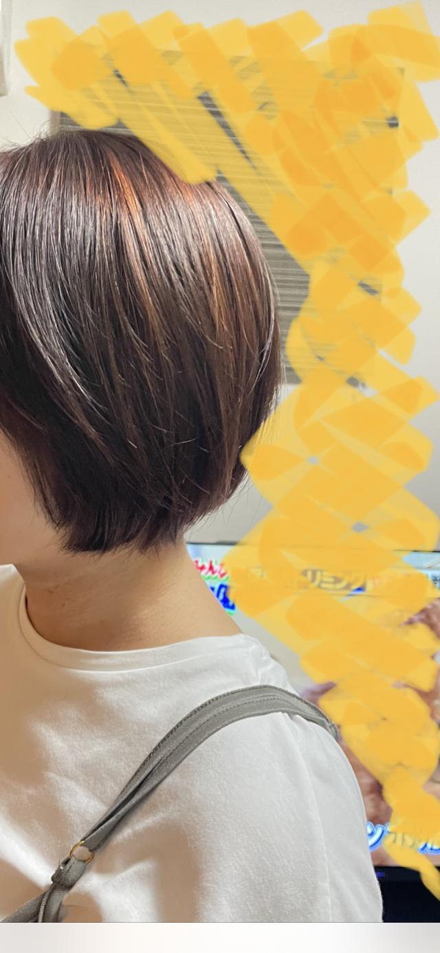しんち 1