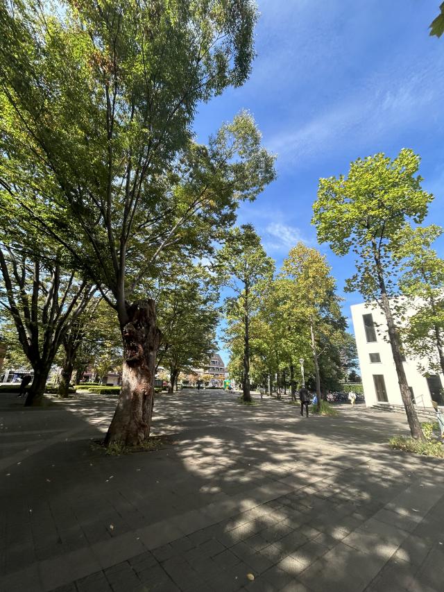 ほのか 1