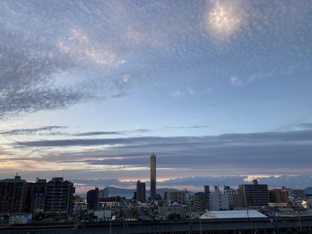みかりん 1