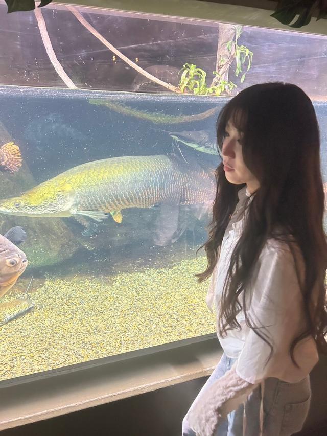 ひな 1