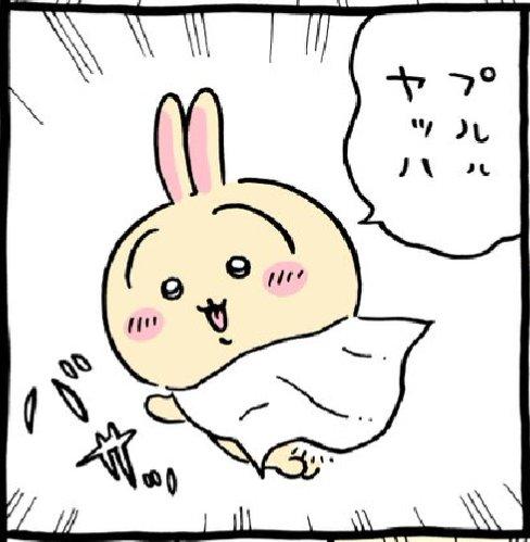 うさぎ🐰 1