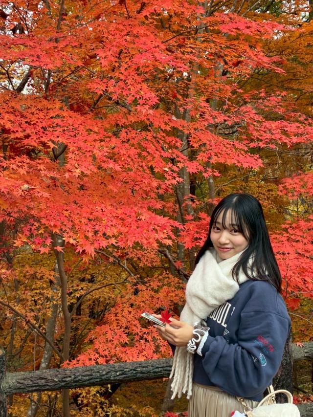 ナビ 1