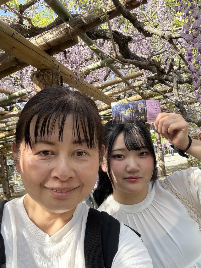 ナオナオ 1