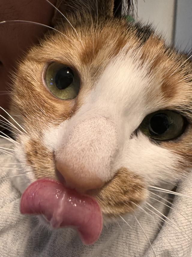 ゆー 1