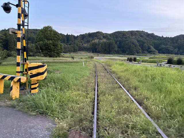 トモ 1