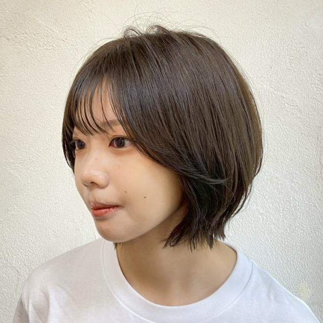 アヤノ 1
