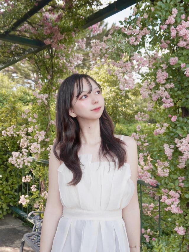 シホ 1