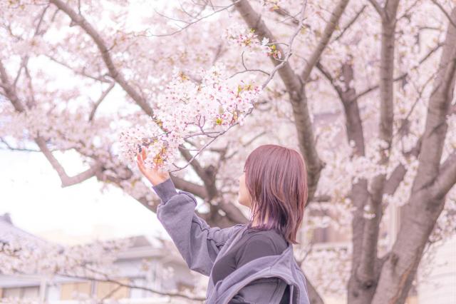 なこ 1