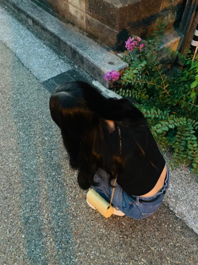 はーぴー 1