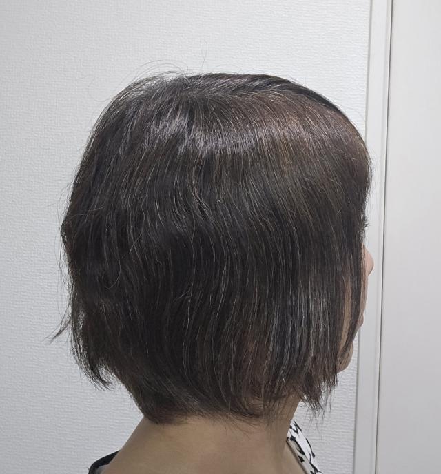 さとえ 2