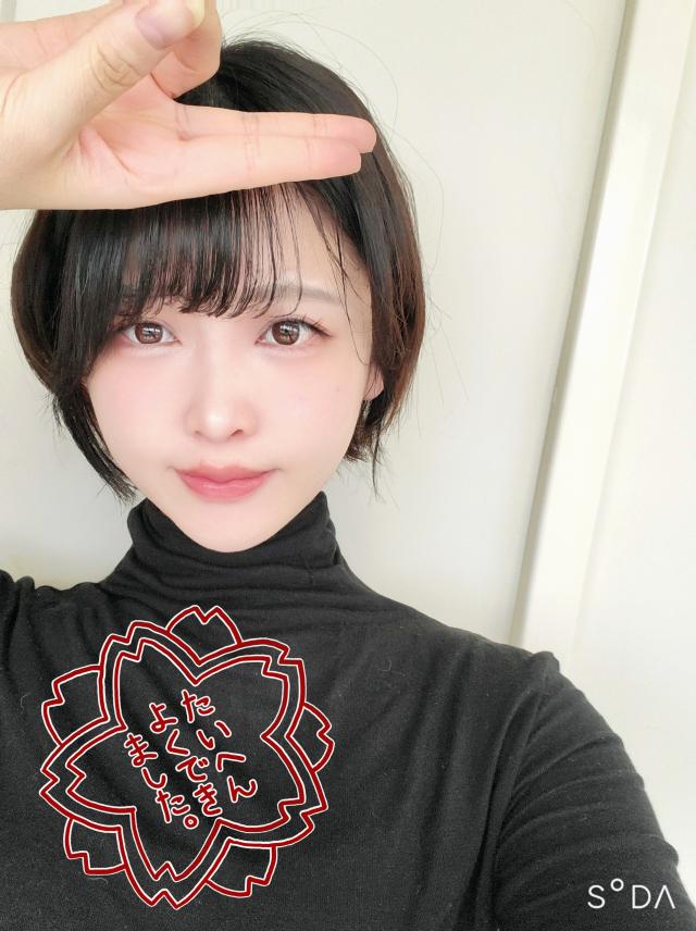 のっか 1