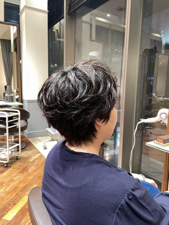 ショートパーマ🌀+トリートメント 限定メニュー✂︎