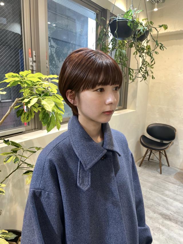 本日1月18日限定🌟レディースショートカット🌱コンパクトなショートに似合わせます🤘 トリートメント付き🤲