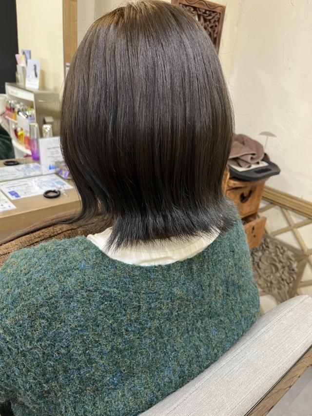 レディースボブカットモデル様募集!!