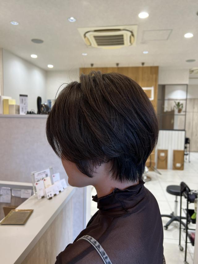 【急募】7月3日18時から無料ショートカットモデル募集中!トリートメントサービス!テストモデルになります!