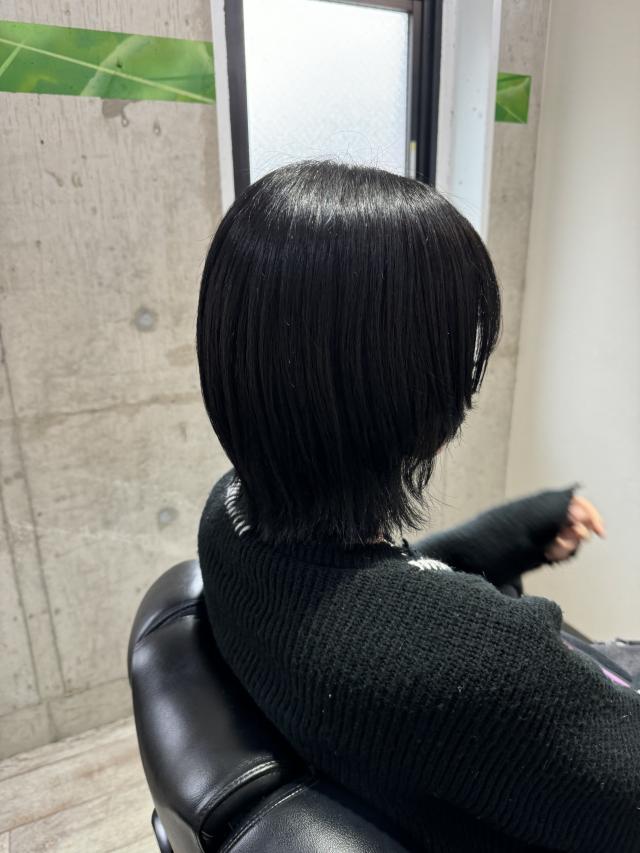 カットモデル ショート
