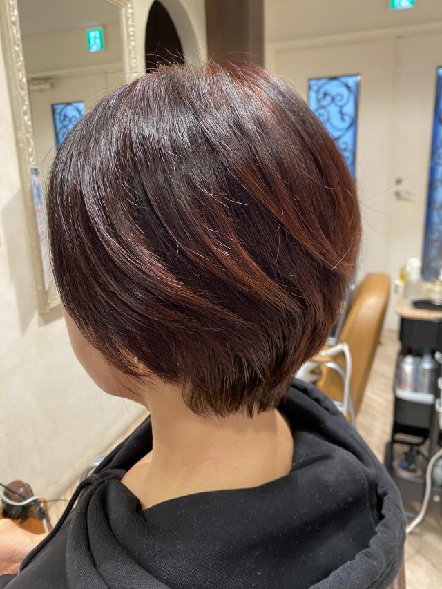 12月26日限定ショートヘアカット➕サロントリートメント