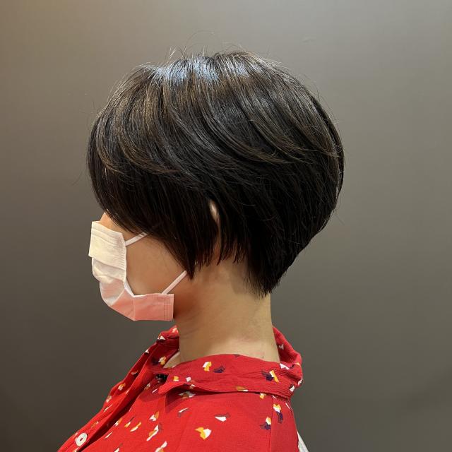 【 本日限定 】カットモデル