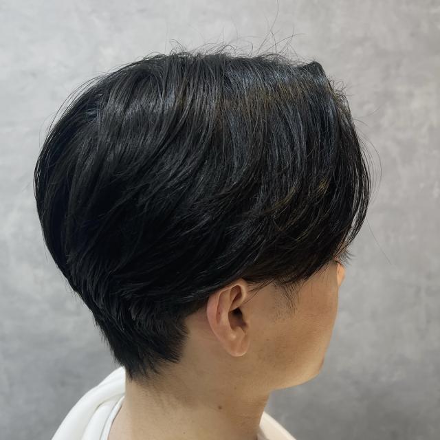 【 本日限定 】カットモデル