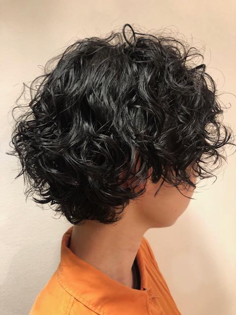 平日限定モデル募集