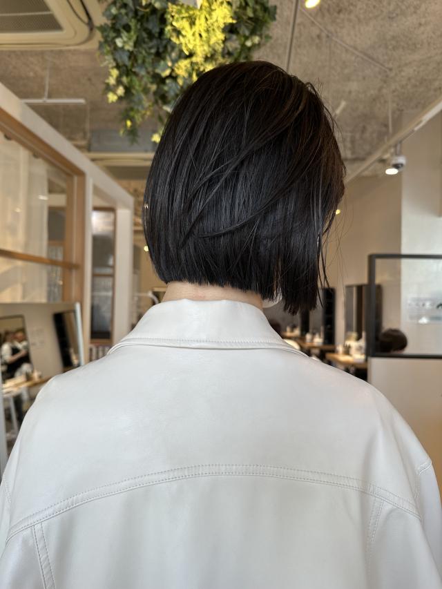 ボブカットモデル募集