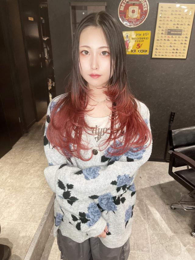ザグザグレイヤーモデル募集