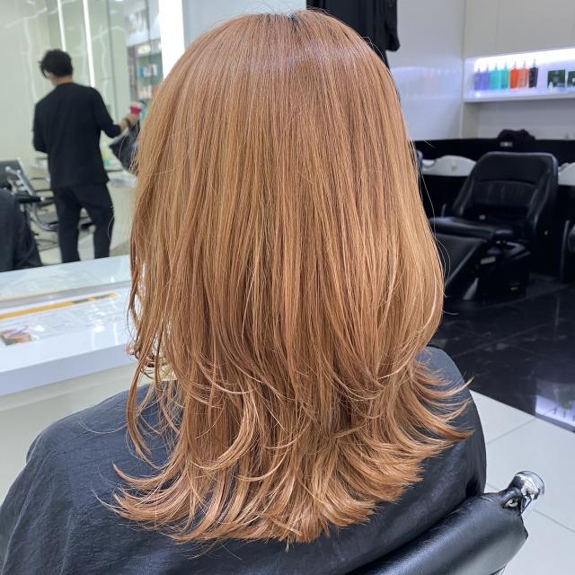 レイヤーカットモデル大募集!