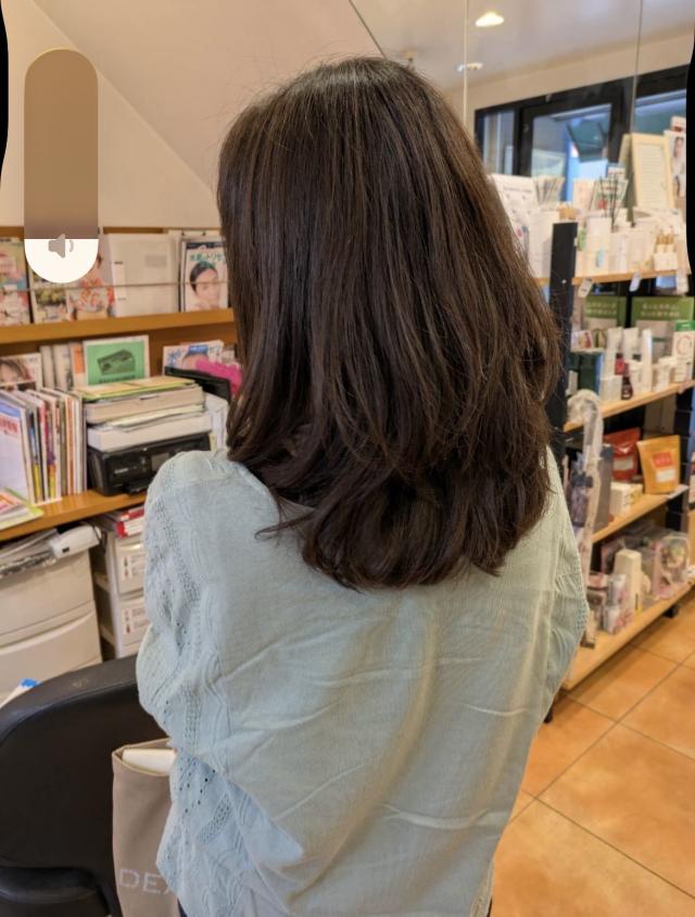ブリーチ、ファションカラー