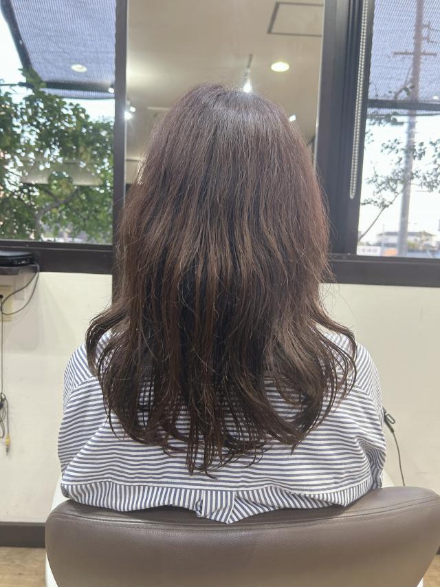 レイヤーカットモデル様募集⭐︎