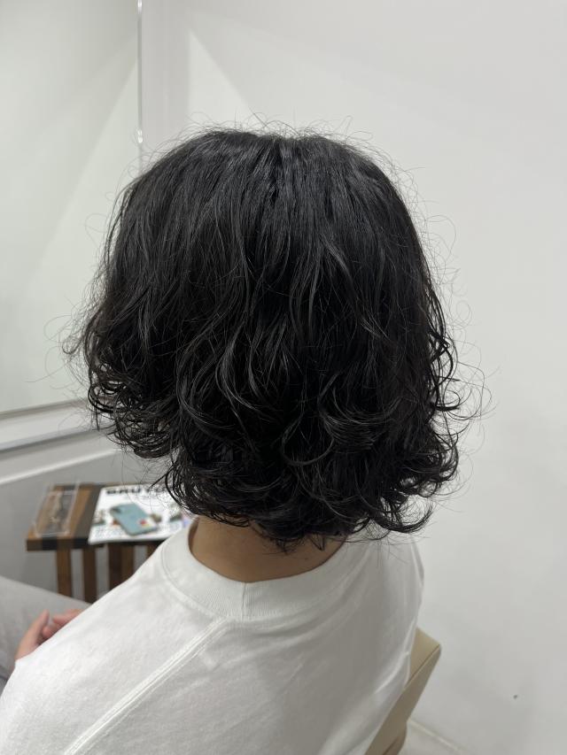 パーマモデル(カット無し)