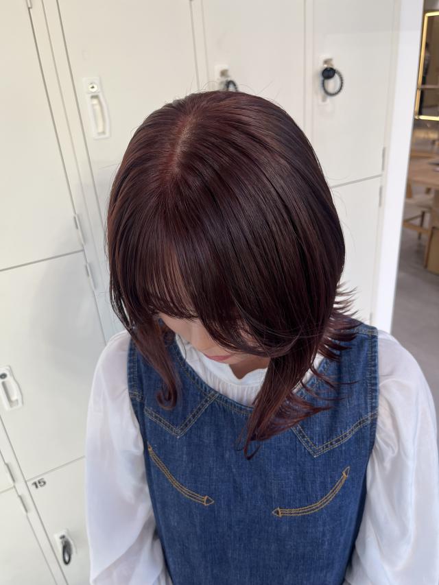 🤍ワンカラー🤍