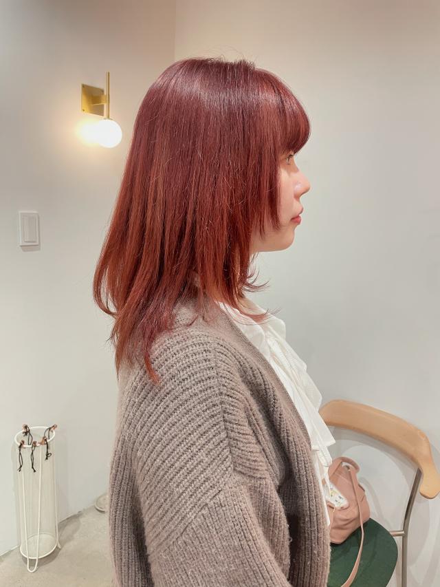 11月15日 レイヤーカットモデル募集中!