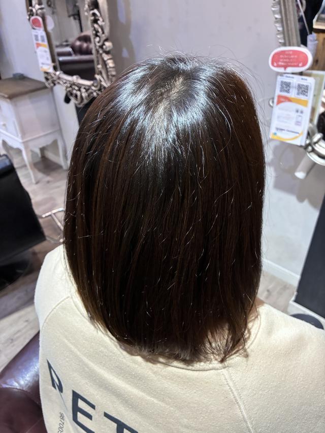 【静岡市葵区】カット&ハイライトモデル募集!11/4限定🌿