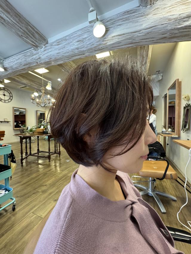 白髪ぼかし・白髪活かしカラーのモデル様を募集しております。