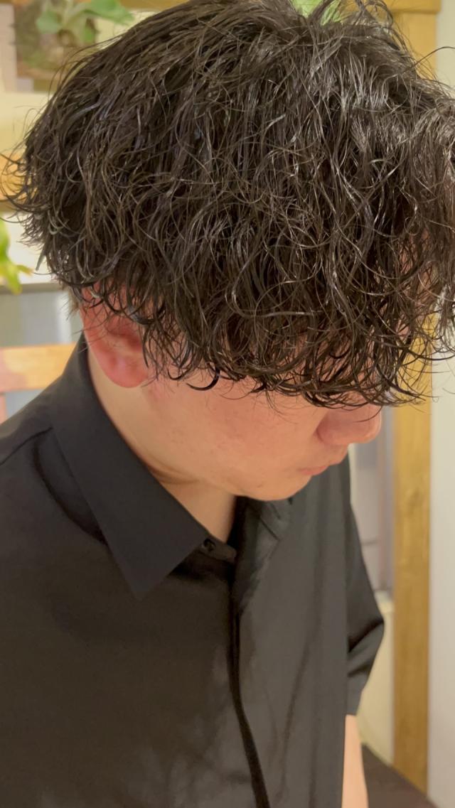 メンズカットのパーマモデル募集しております!