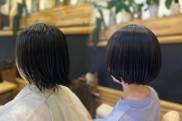 ☘️レディースショートカット+Aujuaトリートメント(1センチ以上カットできる方)