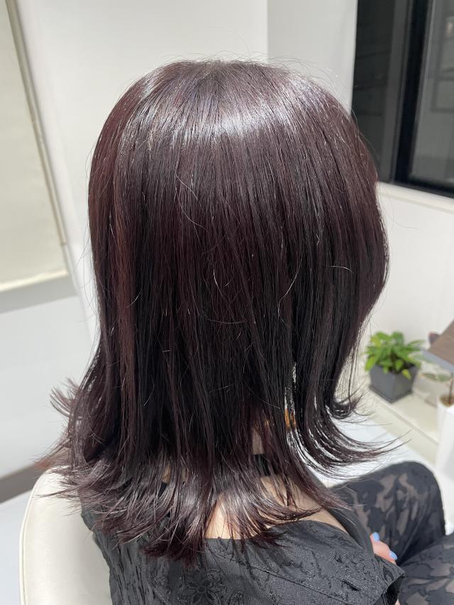 3月24日 10時〜1時 カットモデル募集中!