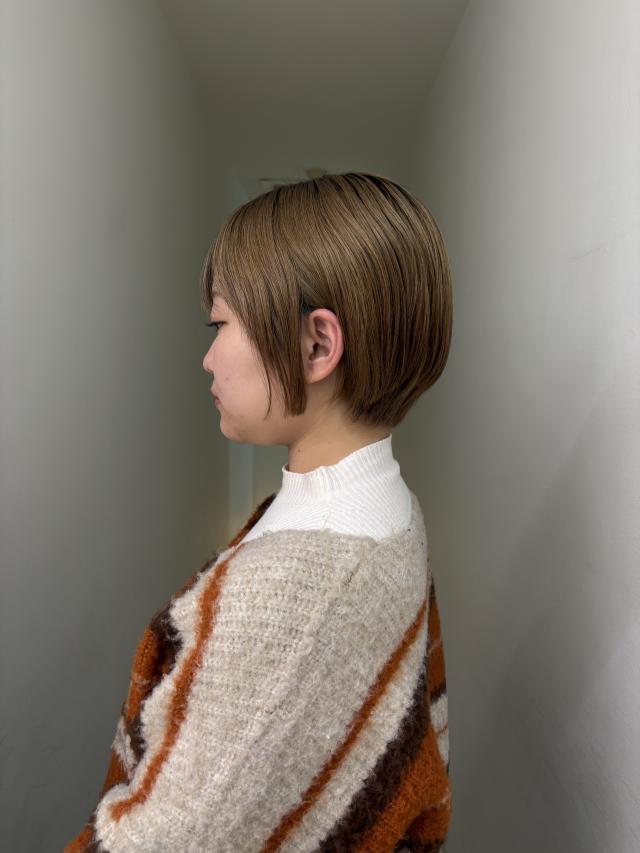 ショートカットに切りたい方!無料カットモデル募集中✨