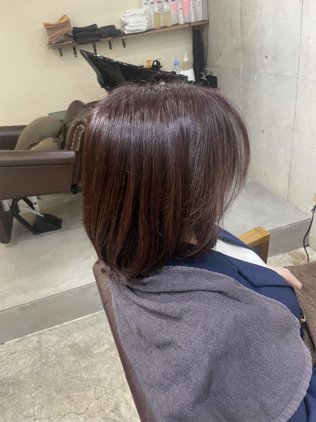 本日白髪染め(根本リタッチ✨)ご案内可能❗️