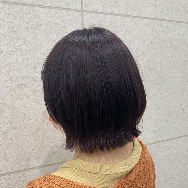 6月10日水曜日撮影モデルさん募集中!!