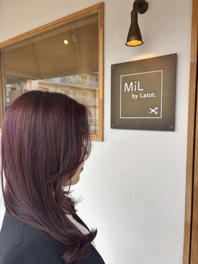 ワンカラーモデル様募集🌷