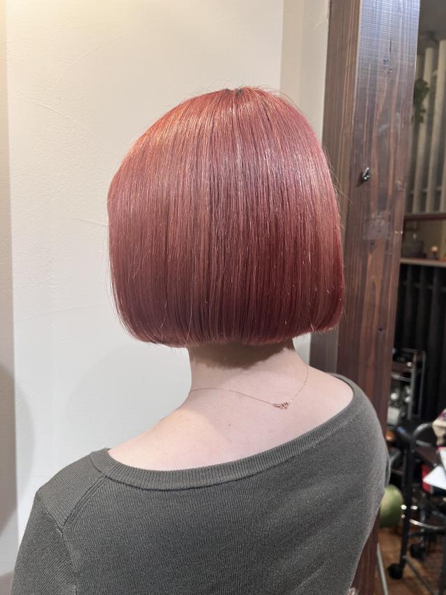 【ボブカット】写真のようなワンレングススタイル・レディース限定✂️モデル募集⚠️補足説明をご確認ください⚠️