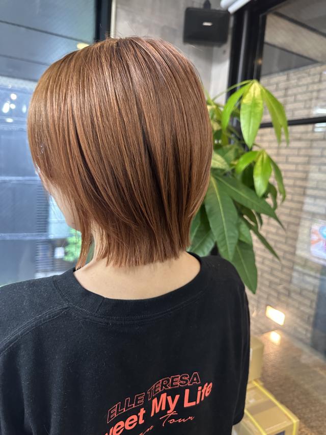 最終検定10㎝カット スタイルチェンジ募集中です!